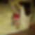 Profilbild von Alexandra Misbach