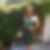 Profilbild von Anke Hiller