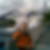 Profilbild von Alexander Simon
