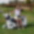 Profilbild von Ute Fischer