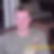 Profilbild von Sandro Edel