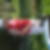 Profilbild von Martin Lischke