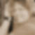 Profilbild von Manuela Bresch