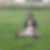 Profilbild von Anja Freitag