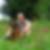 Profilbild von Christoph Holstein
