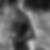 Profilbild von Manfred Lehmann