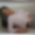 Profilbild von Birgit Grosser