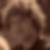 Profilbild von Marius Dederichs