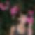 Profilbild von Sarah Thran