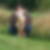 Profilbild von Simone Petry