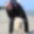 Profilbild von Dieter Bittner