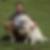 Profilbild von Michael Rom