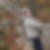 Profilbild von Ines Beisert