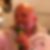 Profilbild von Christian Bieselt