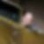 Profilbild von Thomas Oetting