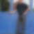 Profilbild von Jim Damm