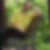 Profilbild von Martin Deusing