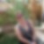 Profilbild von Ines Pieper