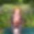 Profilbild von Karin Eichler
