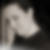 Profilbild von Cristina Calasso
