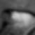 Profilbild von Martin Mauer