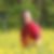 Profilbild von Ralf Oettershagen