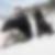 Profilbild von Tristan Herbst