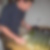 Profilbild von Albert Raute