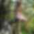 Profilbild von Anne Dumbax