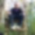 Profilbild von Andrea Wiesner