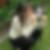 Profilbild von Meike Soulier