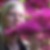 Profilbild von Mandy Wollermann