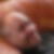 Profilbild von Dirk Achtermeyer