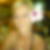Profilbild von Steffi Jakob