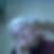 Profilbild von Jenny Fiebig