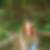 Profilbild von Wenke Giese