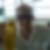 Profilbild von Martin Peters