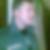 Profilbild von Sascha Göß