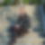 Profilbild von Anett Wenk