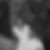 Profilbild von Nancy Puhl