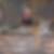 Profilbild von Beate Herrmann