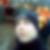 Profilbild von Thore Naudszus