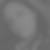 Profilbild von Anne Lask