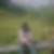 Profilbild von Sarah Wilms