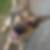 Profilbild von Nadine Krause