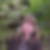 Profilbild von Marion Tiedtke