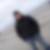 Profilbild von Dirk Hübel