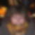 Profilbild von Ute Plümer