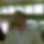 Profilbild von Brian Kent