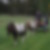 Profilbild von Ronny Weigang